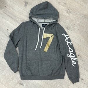 American Eagle Outfitters Gray Hoodie Sweater